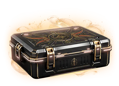 CS2 Luxury Knife Case