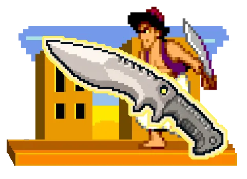 CS2 Aladdin Case