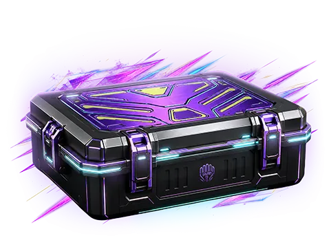CS2 Gloves Case