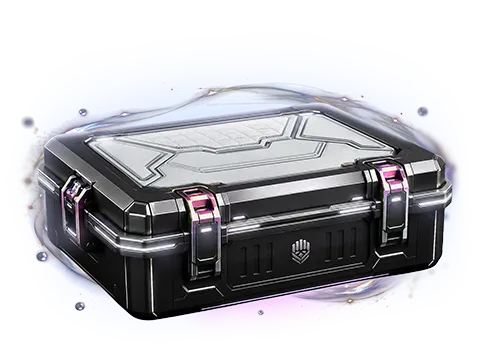 CS2 Covertgloves Case